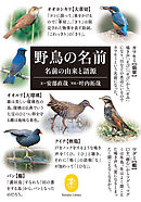 日本の野鳥識別図鑑 漫画 無料試し読みなら 電子書籍ストア ブックライブ