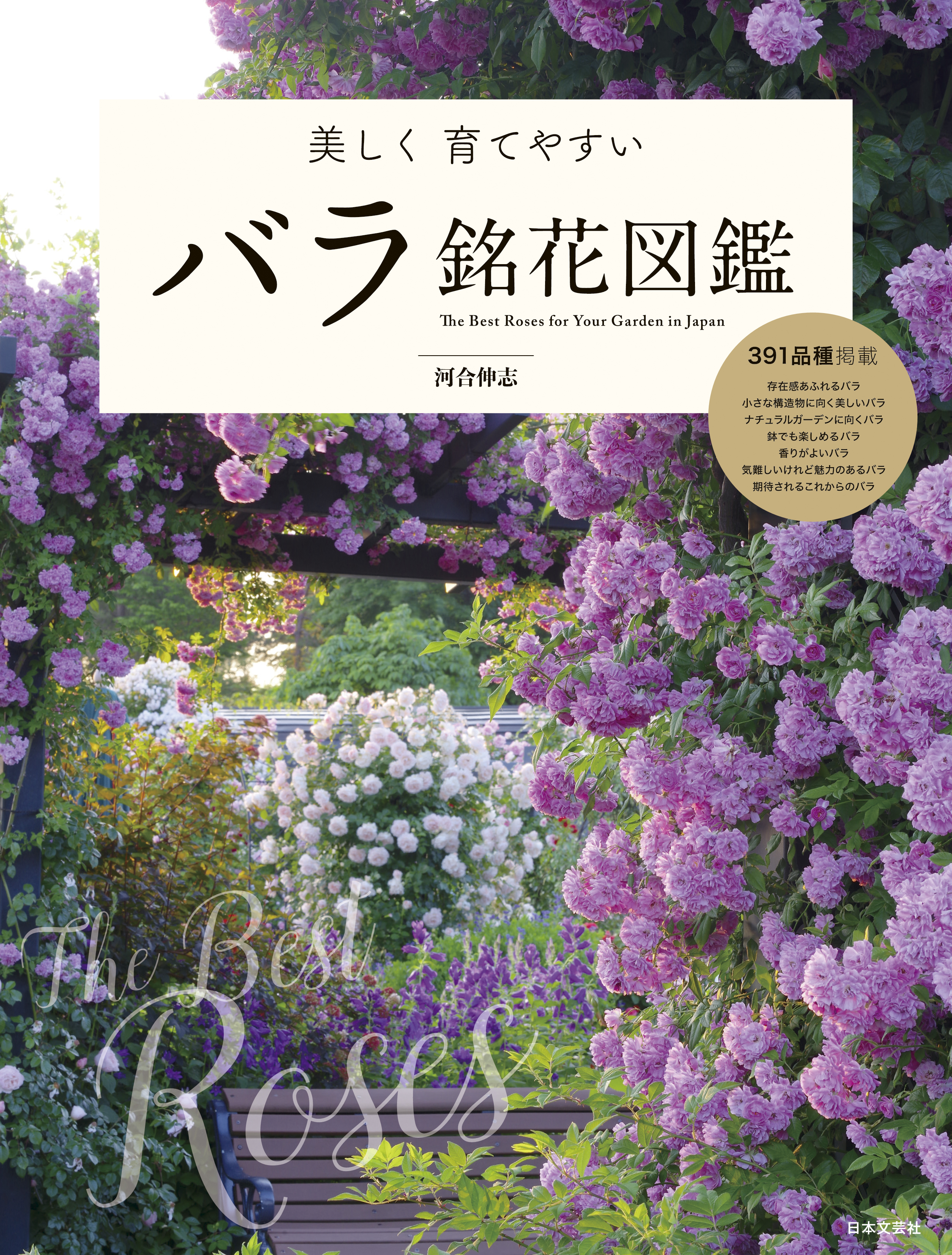 日本の美しい庭園図鑑 - アート