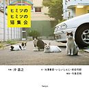 ヒミツのヒミツの猫集会