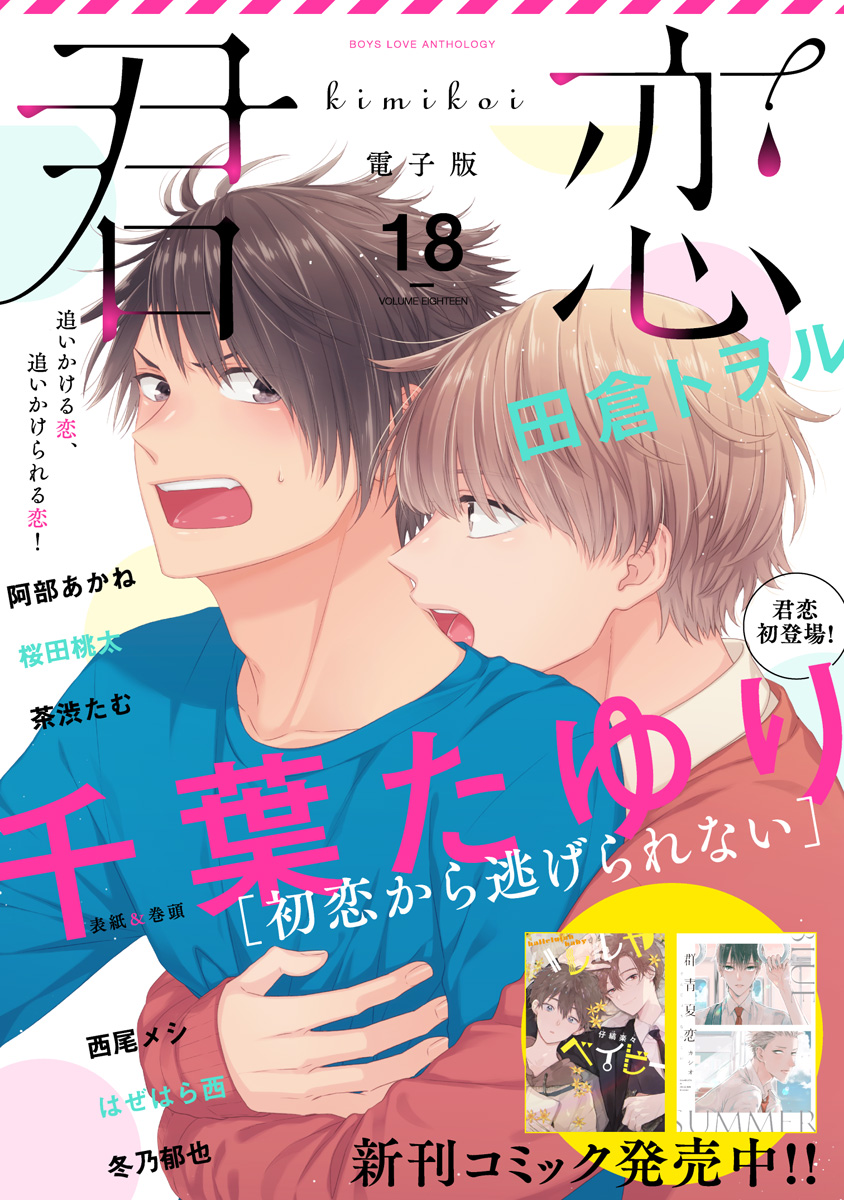 最新作の BL 君恋 18 39 14冊 参号ミツル あらた六花 沖田有帆 鈴丸み