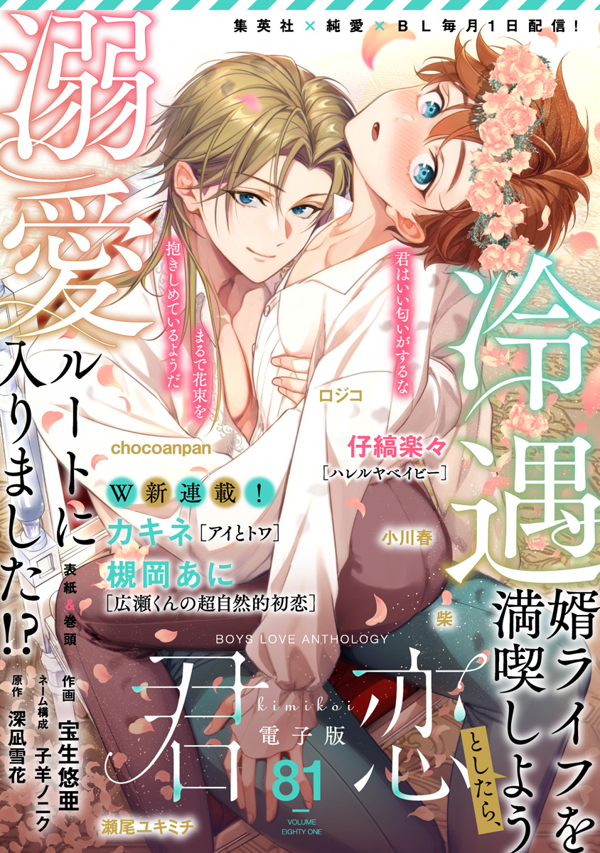29 BL本まとめ売り　ボーイズラブコミックス　BOYS LOVE COMICS BL ボーイズラブ 漫画 限定 セット販売 まとめ売り 20冊 （29 BL