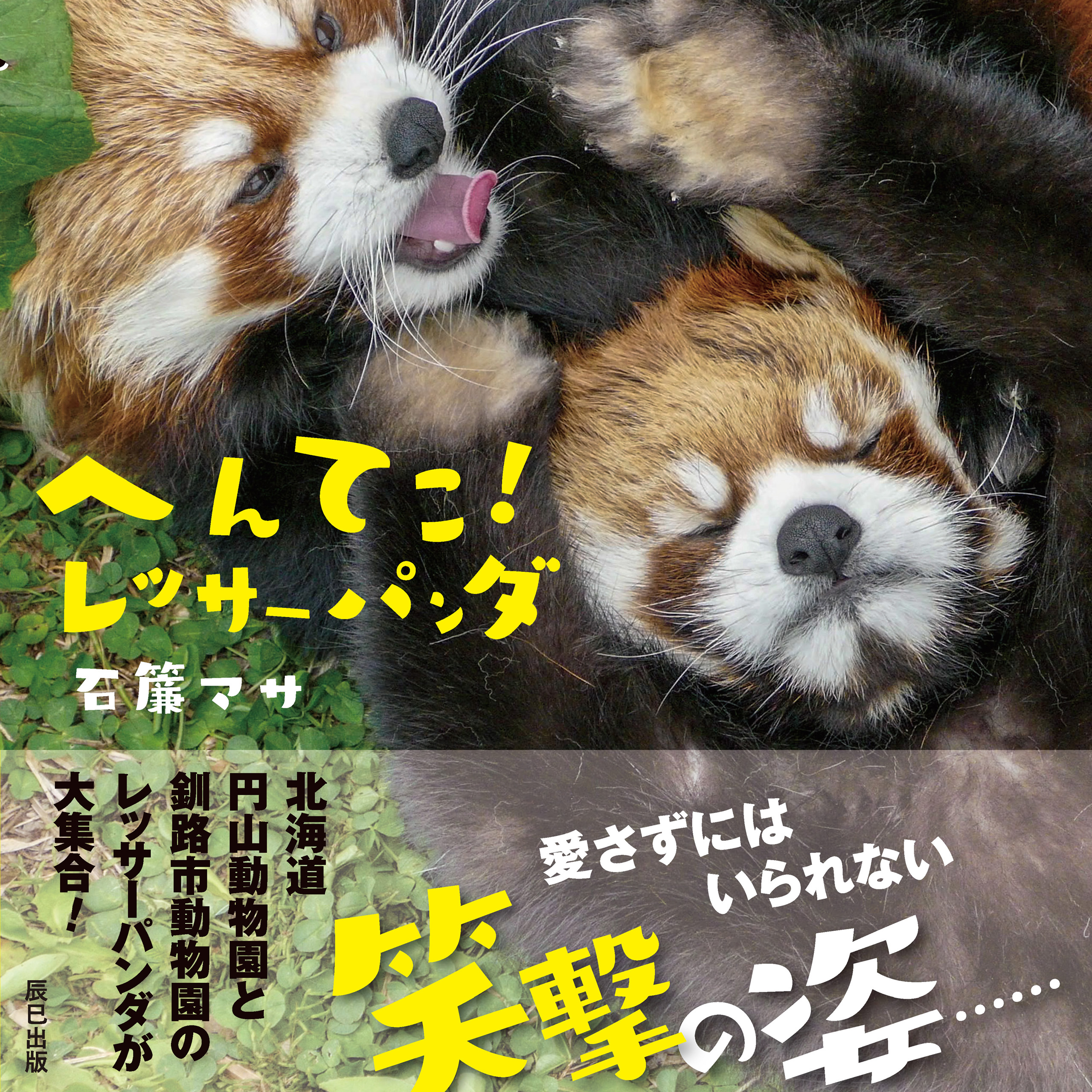 へんてこ！ レッサーパンダ - 石簾マサ - 漫画・無料試し読みなら