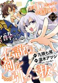 万年Dランクの中年冒険者、酔った勢いで伝説の剣を引っこ抜く 12巻