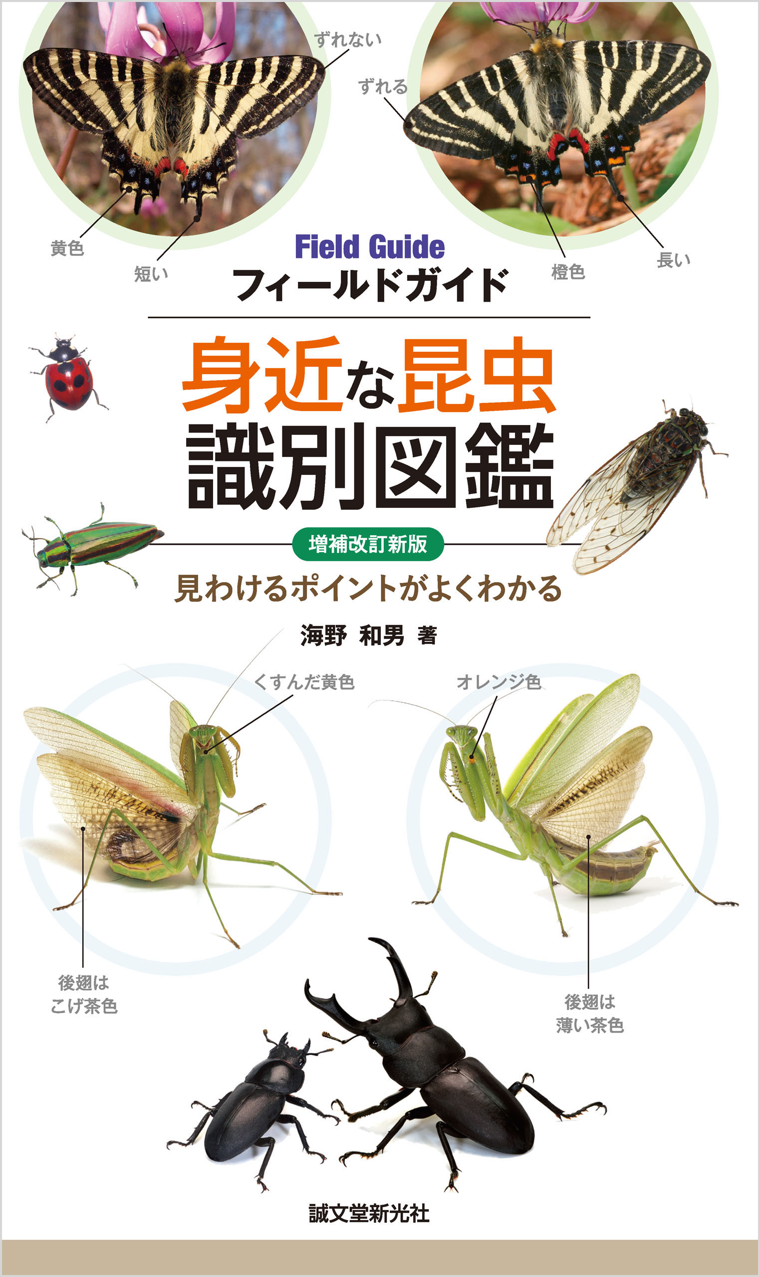 増補改訂新版 身近な昆虫識別図鑑：見わけるポイントがよくわかる ...