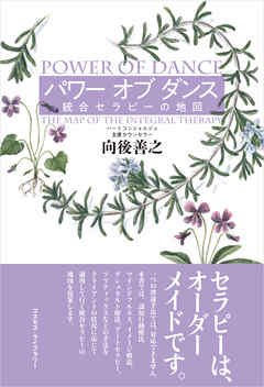 パワー オブ ダンス　統合セラピーの地図