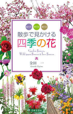 散歩で見かける四季の花