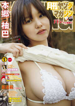 月刊ヤングマガジン