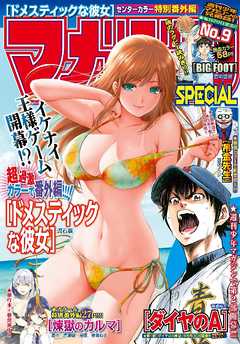 マガジンSPECIAL 2015年No.9 [2015年8月20日発売]