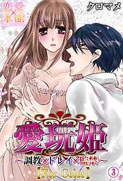 愛玩姫～調教×ドレイ×監禁～【カラー版】