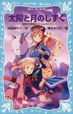 太陽と月のしずく　摩訶不思議ネコ　ムスビ（６）