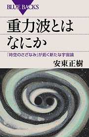 重力波とはなにか　「時空のさざなみ」が拓く新たな宇宙論