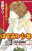 はちみつ少年　プチデザ（３）　13歳。愛はどこにある？