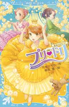 プリ・ドリ　運命のトビラ！