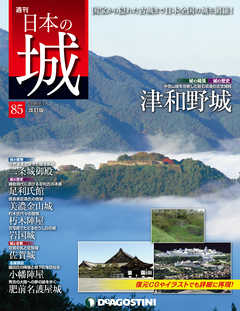 カメラレビュー 創刊号～３３号 シリーズ完結-