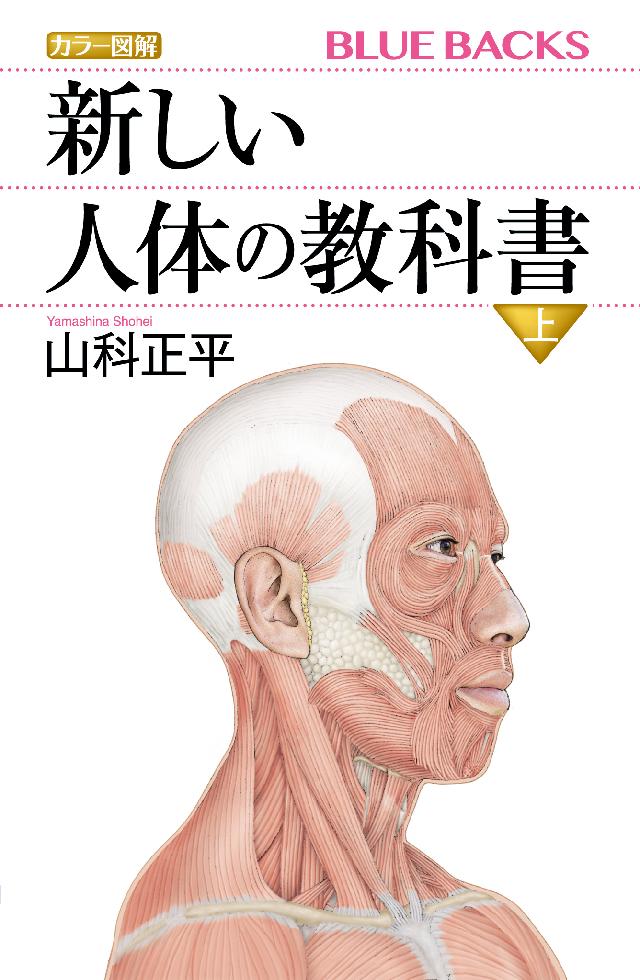 医学書 改訂19版 日本人体解剖学 快 上巻