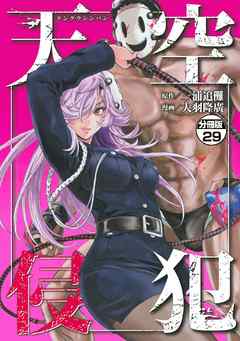 天空侵犯　分冊版（２９）