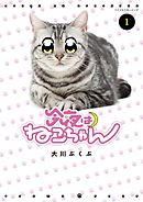 今夜はねこちゃん（１）