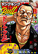 ヤングキングBULL 2025年14号
