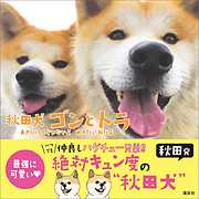 秋田犬　ゴンとトラ　あきたけんじゃないよ　あきたいぬだよ