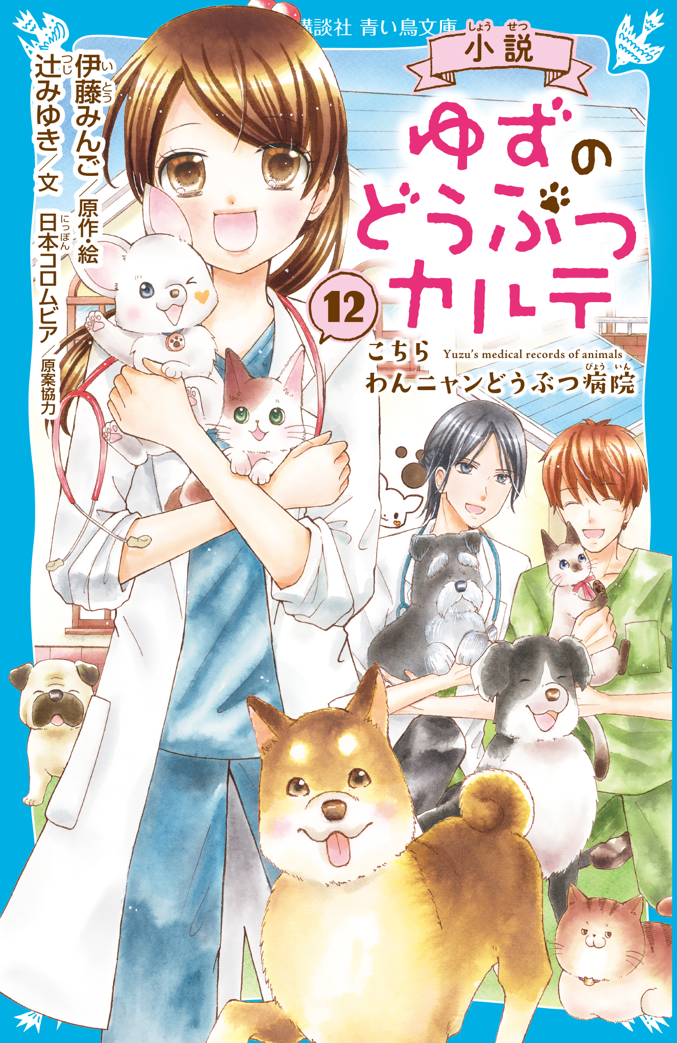 小説 ゆずのどうぶつカルテ（１２） こちら わんニャンどうぶつ病院