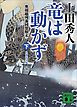 竜は動かず　奥羽越列藩同盟顛末　下　帰郷奔走編