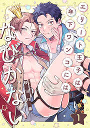 【期間限定　試し読み増量版】エリート王子は年下ワンコにはなびかない