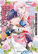 召使い令嬢は国境を越え、敵国の公爵騎士様に溺愛される（１）