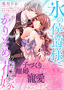 【期間限定無料】氷の侯爵様とかりそめの花嫁～子づくりしたら離婚のはずが、なぜか寵愛されてます～
