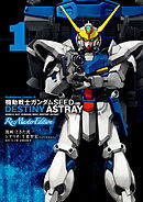 【期間限定無料】機動戦士ガンダムSEED DESTINY ASTRAY Re: Master Edition