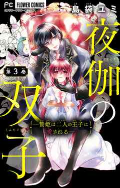 【期間限定無料】夜伽の双子―贄姫は二人の王子に愛される―【マイクロ】 3