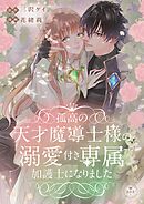 【期間限定　試し読み増量版】孤高の天才魔導士様の溺愛付き専属加護士になりました【マイクロ】