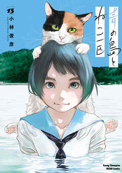 青の島とねこ一匹　13