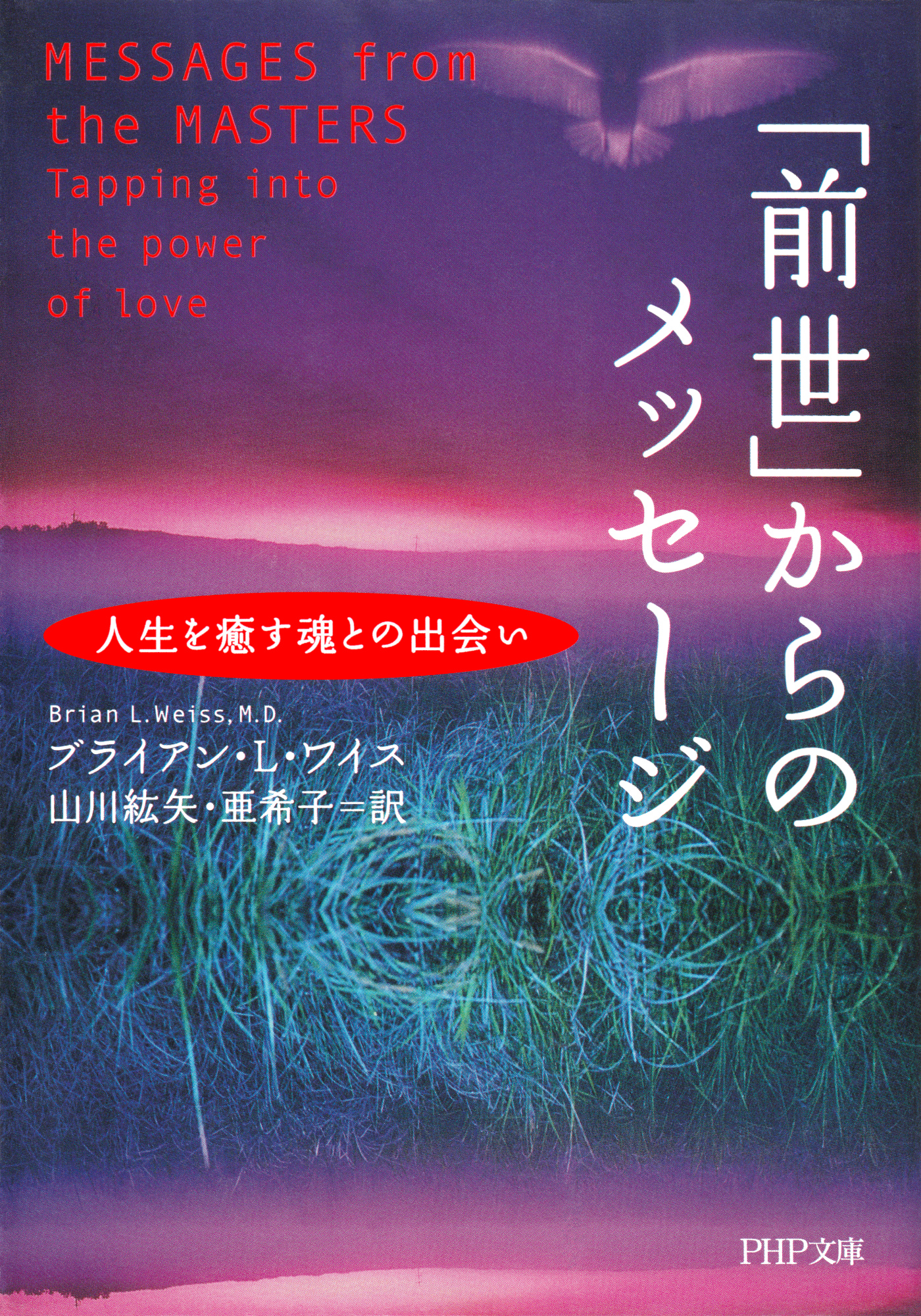 前世 からのメッセージ 人生を癒す魂との出会い 漫画 無料試し読みなら 電子書籍ストア ブックライブ