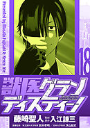 獣医グランディスティーノ 18