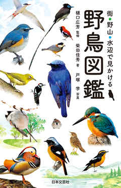 街・野山・水辺で見かける 野鳥図鑑