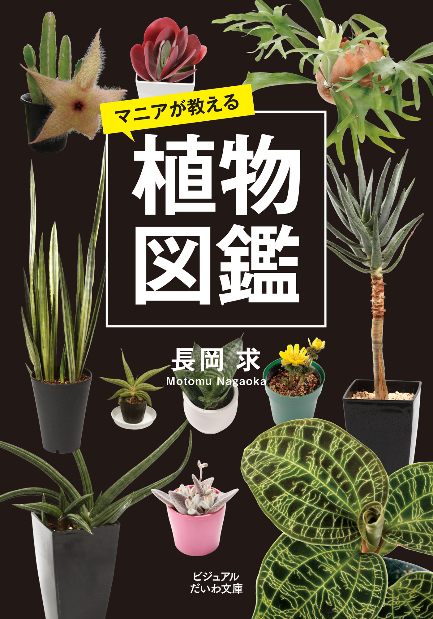 マニアが教える植物図鑑 長岡求 漫画 無料試し読みなら 電子書籍ストア ブックライブ