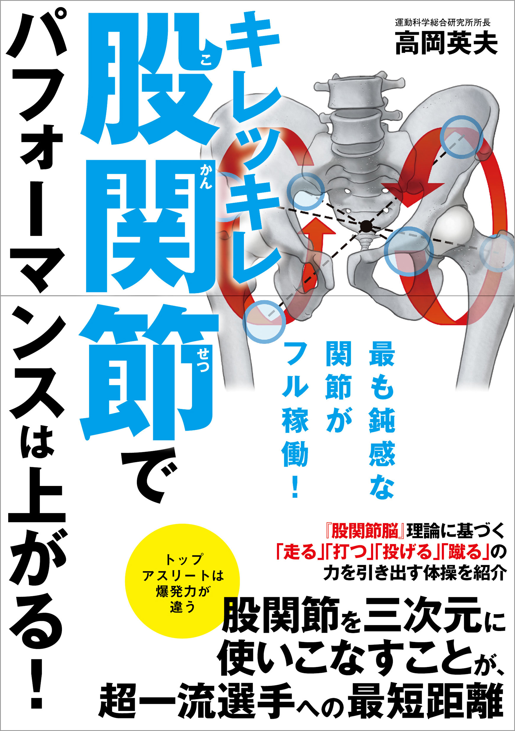 本物保証 高岡英夫 極意へのゆる１７ その他