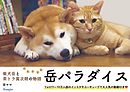 真亜ちゃんは今日も家にいたい １ 梶川岳 漫画 無料試し読みなら 電子書籍ストア ブックライブ