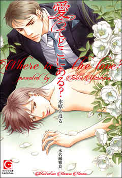 愛ってどこにある？【イラスト入り】