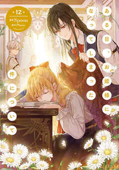 ある日、お姫様になってしまった件について 12（最新刊