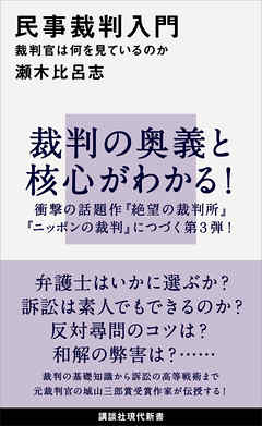 民事裁判入門　裁判官は何を見ているのか