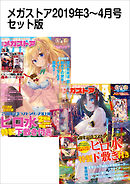 メガストアセット版2019年3-4月号