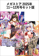 メガストアセット版2025年11-12月号