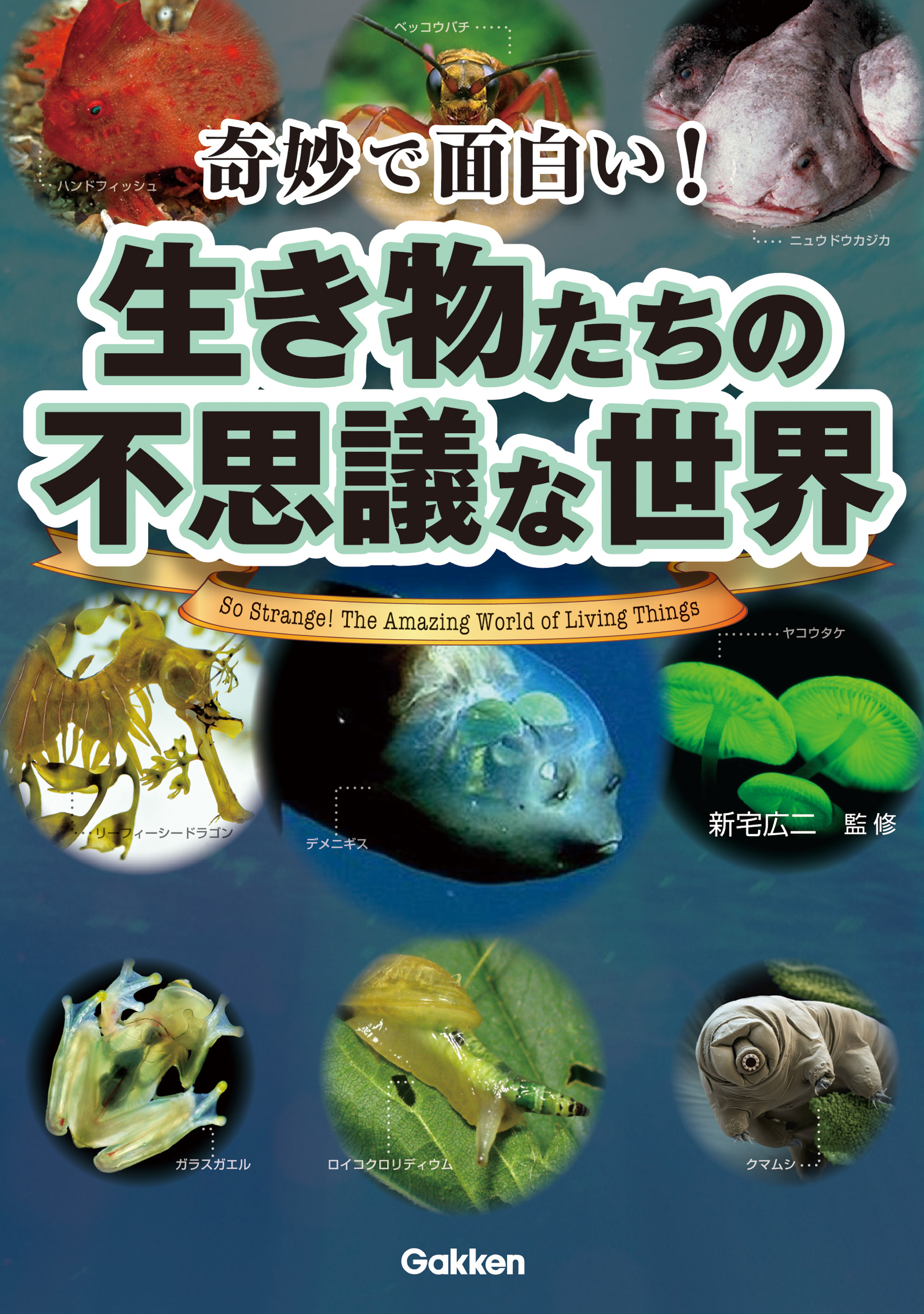 奇妙で面白い 生き物たちの不思議な世界 漫画 無料試し読みなら 電子書籍ストア ブックライブ