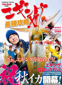 エギング最強攻略 XIII