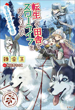 転生して田舎でスローライフをおくりたい 国王様の依頼と雪遊び（最
