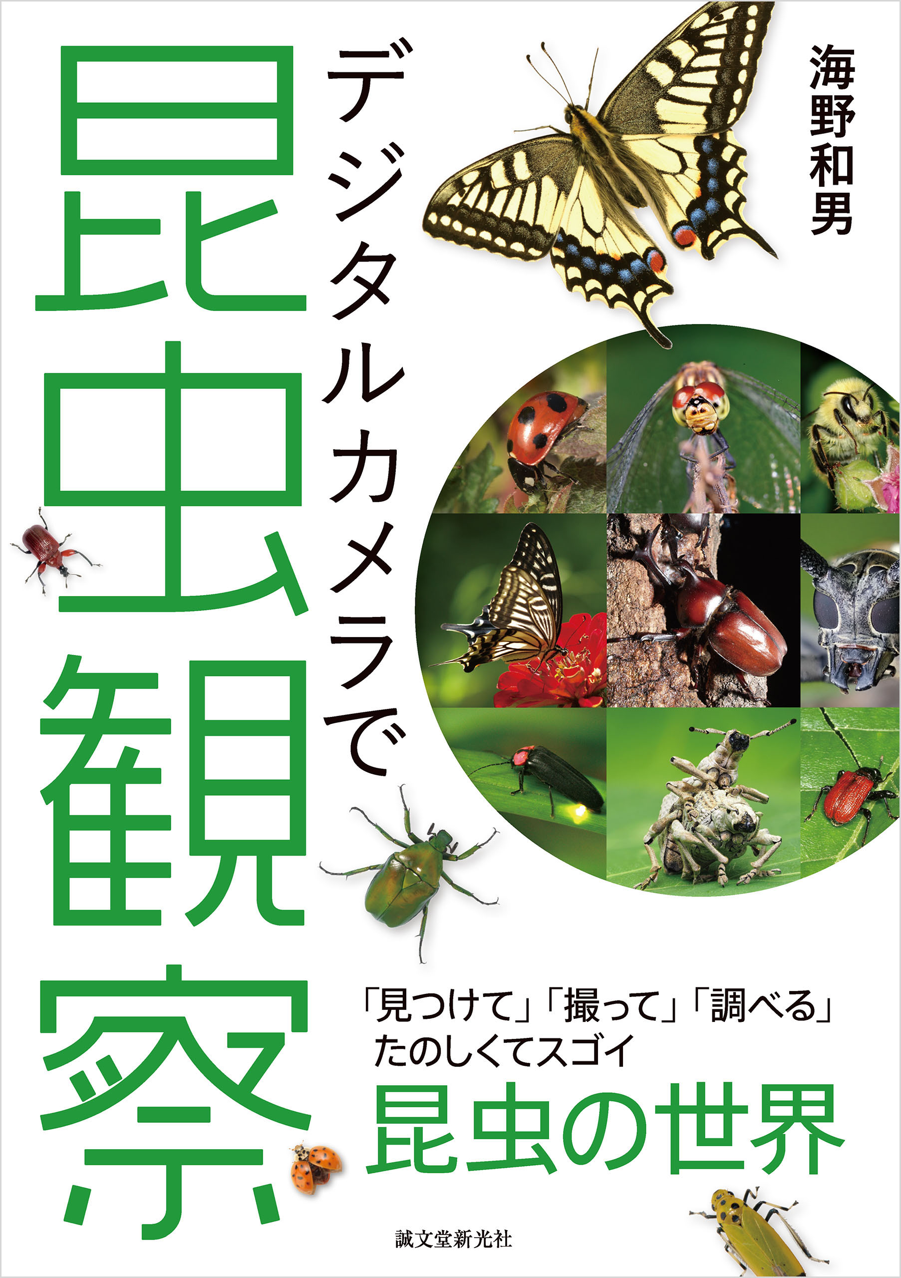 デジタルカメラで昆虫観察：「見つけて」「撮って」「調べる