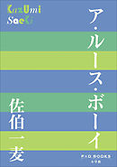 P+D BOOKS　ア・ルース・ボーイ