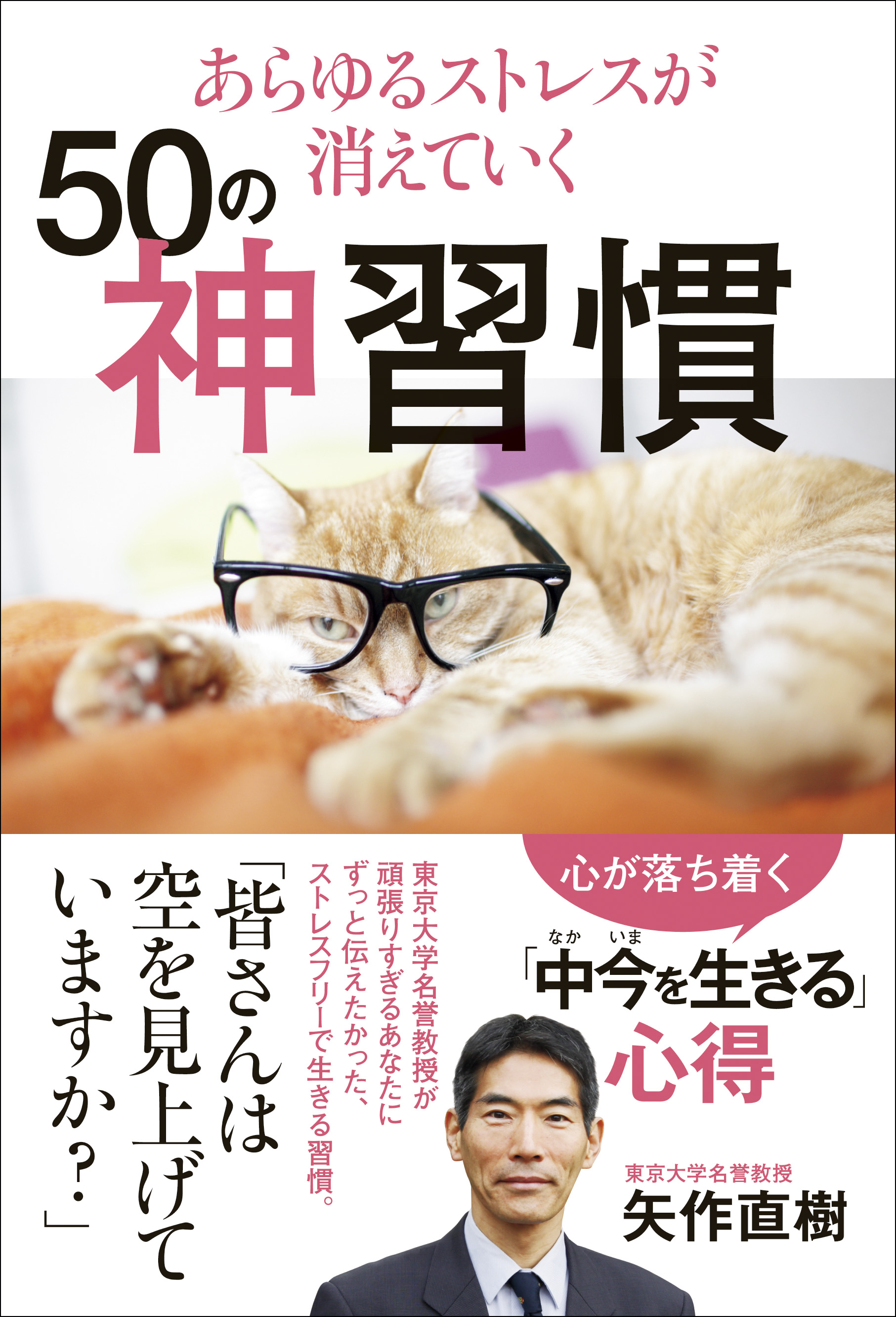 あらゆるストレスが消えていく50の神習慣 矢作直樹 漫画 無料試し読みなら 電子書籍ストア ブックライブ