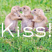 Ｋｉｓｓ！